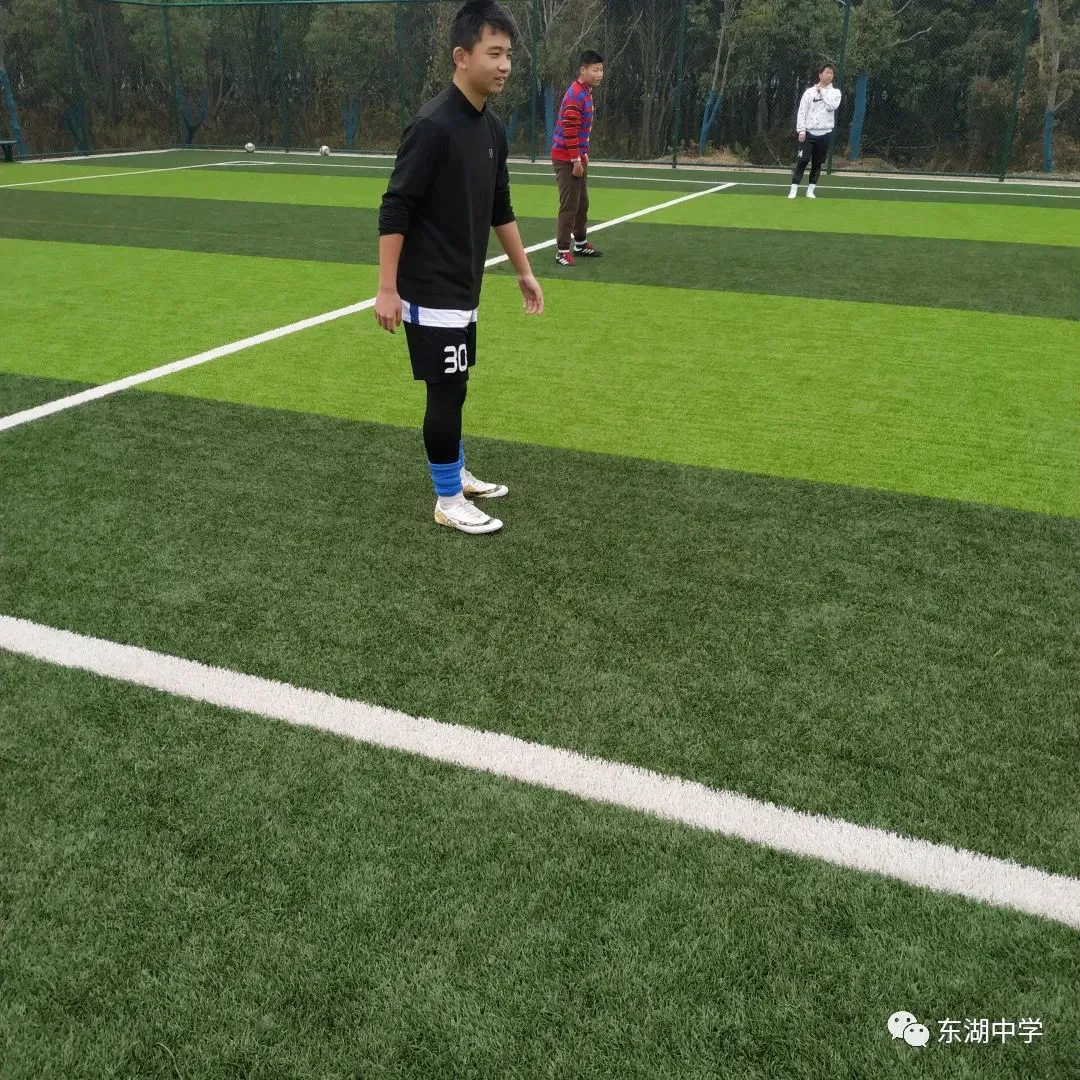如何制定智能篮球训练计划_0